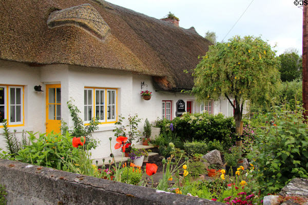 Thatched roof cottage & garden. Adare, Ireland.