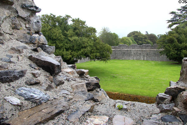 Stone wall & yew tree near river at Desmond Castle. Adare, Ireland.