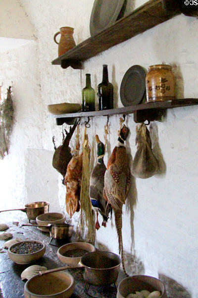 Game hanging over copper pots in kitchen at Bunratty Castle. County Clare, Ireland.