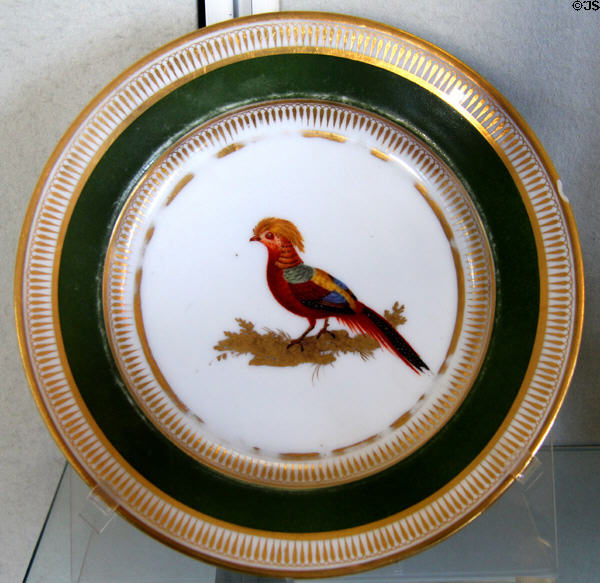 Dagoty porcelain plated (c1810) painted with golden pheasant at Pitti Palace Ceramics Museum. Florence, Italy.