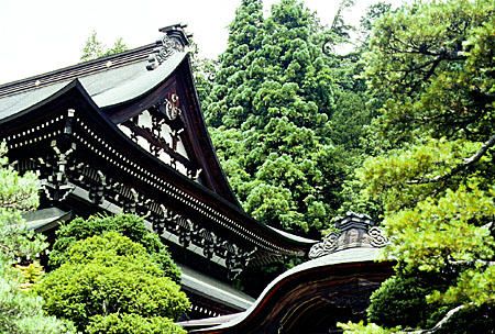 Curved roof of a temple shows through the trees in Takayama. Japan.