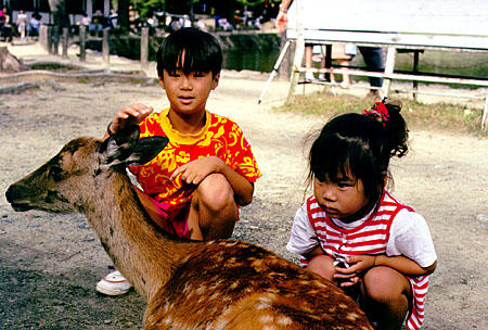 Children petting deer in Nara. Japan.