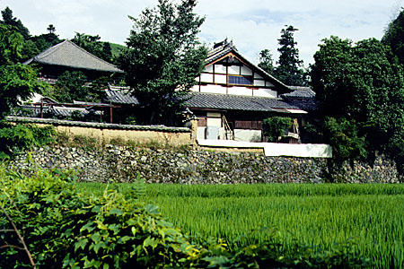 House and rice field in Nara. Japan.
