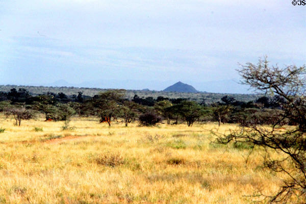 Grasses, trees & ant hills make up landscape of Samburu National Reserve. Kenya.