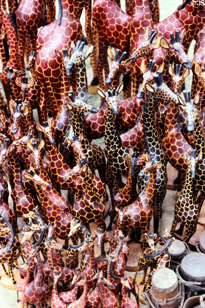 Herd of wooden giraffes at a crafts market on northeastern fringe of Nairobi. Kenya.