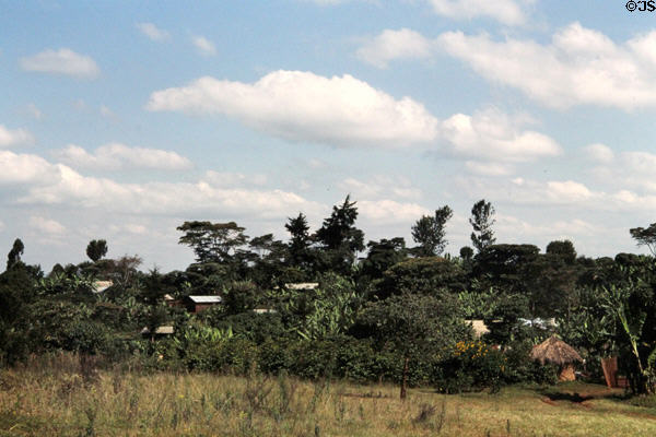 Kenyan village. Kenya.