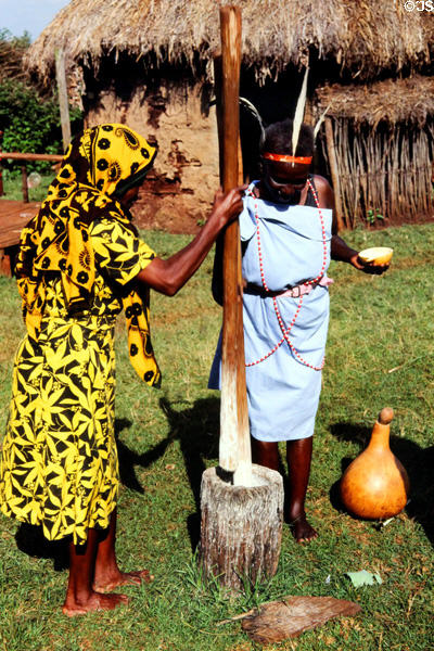 Pounding maize in Riyuki Cultural Center near Nairobi. Kenya.