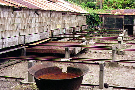 Drying trays for cocoa beans at the Fond Doux Plantation. St Lucia.