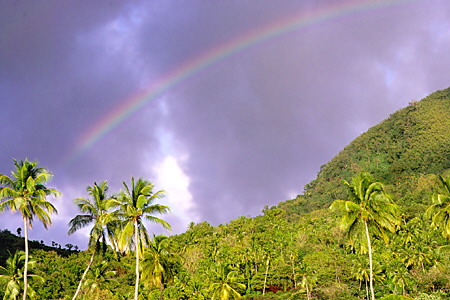 Rainbow above the palms at the Jalousie Hilton Resort near Soufrière. St Lucia.