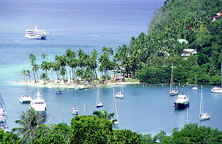 Palms and boats on Marigot Bay. St Lucia.