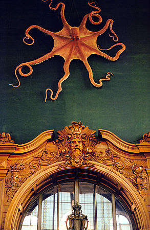 Decorations in Oceanographic Museum, Monaco.