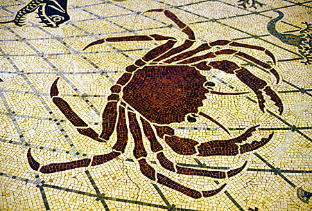 Crab mosaic on floor in Oceanographic Museum, Monaco.