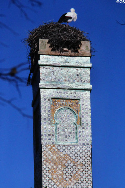 Chellah minaret (13thC) topped by stork nest. Rabat, Morocco.