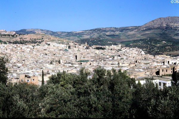 Fes overview from south. Fes, Morocco.