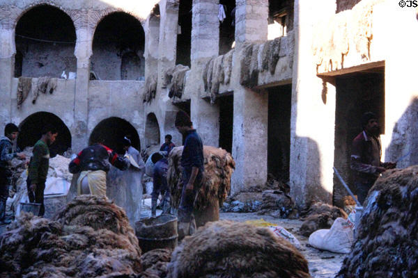 Workshop curing sheepskins. Fes, Morocco.