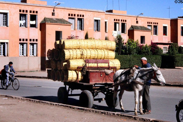 Horse & buggy carrying woven baskets. Marrakesh, Morocco.