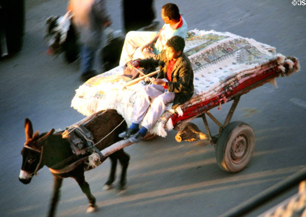 Donkey cart with carpets. Marrakesh, Morocco.