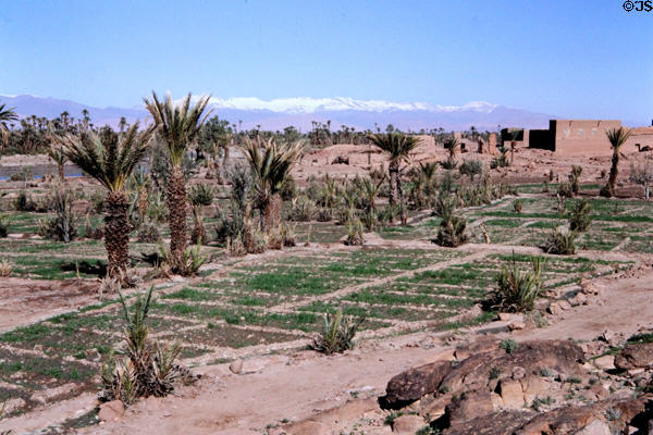Scene near Skoura. Morocco.