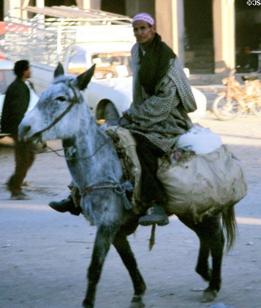 Man riding donkey in El Kélàa des M'gouna. Morocco.