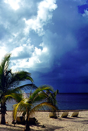 Picturesque beach & sky scene on shores of Cozumel. Mexico.