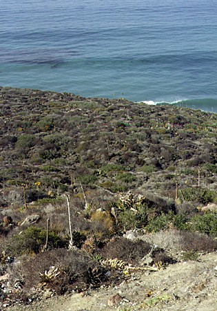 Undeveloped coastline in Baja California south of Tijuana. Mexico.