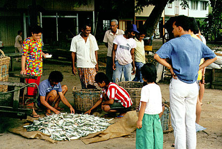 Sorting fish in Beserah. Malaysia.
