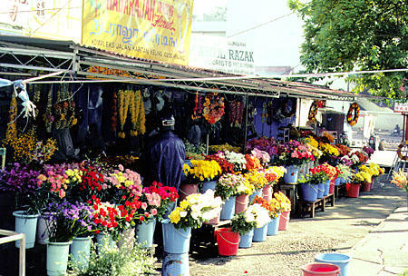 Flower stalls in Georgetown on Penang island. Malaysia.