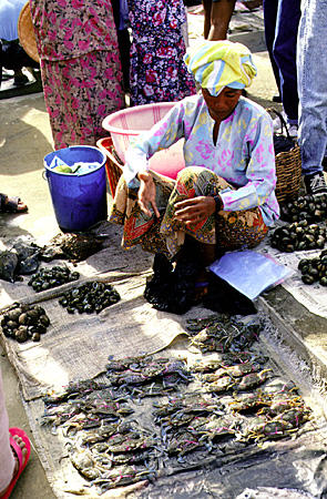 Crabs for sale at weekly market in Kota Belud, Sabah province. Malaysia.