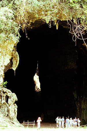 Gomantang caves in Sabah province on island of Borneo. Malaysia.