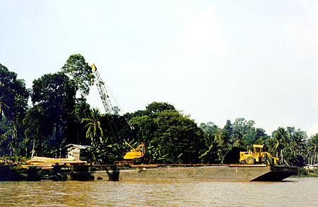 Logging barge on Kinabatangan River in Sukau. Malaysia.