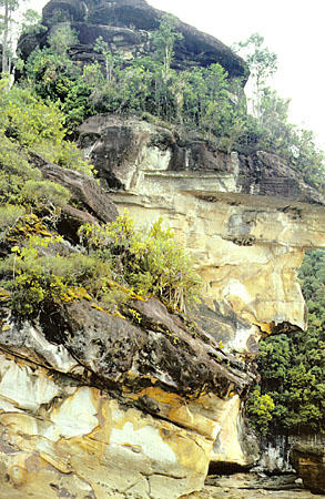 Rocky cliff in Bako National Park in Sarawak. Malaysia.