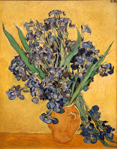 Irises painting (1890) by Vincent van Gogh at Van Gogh Museum. Amsterdam, Netherlands.