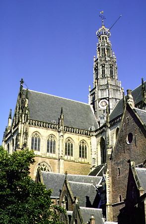 St Bavokerk in Haarlem. Haarlem, Netherlands.