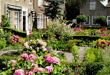 Flower gardens in front of houses. Veere, Netherlands.