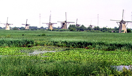 Rows of windmills at Kinderdijk. Netherlands.
