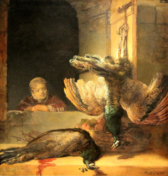 Still life with peacocks painting (c1639) by Rembrandt van Rijn at Rijksmuseum. Amsterdam, NL.