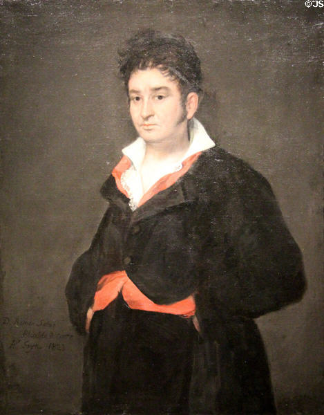 Portrait of Don Ramón Satué (1823) by Francisco de Goya at Rijksmuseum. Amsterdam, NL.