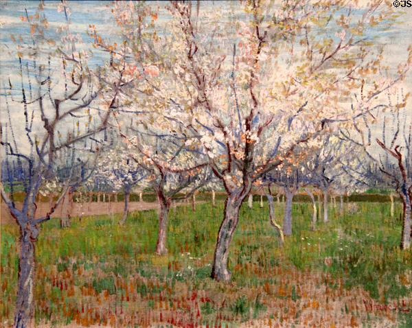 The pink orchard painting (1888) by Vincent van Gogh at Van Gogh Museum. Amsterdam, NL.