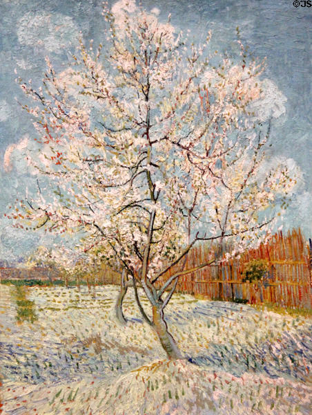 The pink peach tree painting (1888) by Vincent van Gogh at Van Gogh Museum. Amsterdam, NL.
