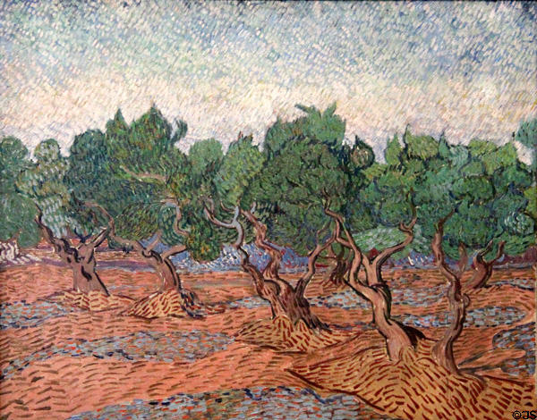 Olive grove painting (1889) by Vincent van Gogh at Van Gogh Museum. Amsterdam, NL.
