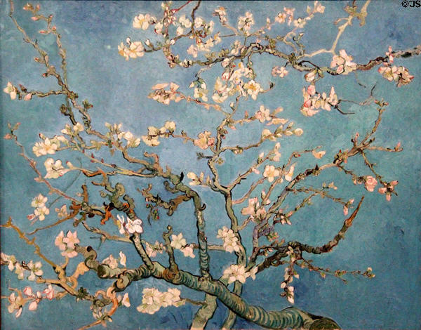 Almond blossom painting (1890) by Vincent van Gogh at Van Gogh Museum. Amsterdam, NL.
