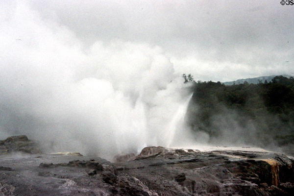 A geyser blows steam in Rotorua. New Zealand.