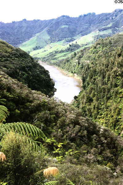View of the Whanganui River, called the Rhine of New Zealand by tourists in 1800s. New Zealand.
