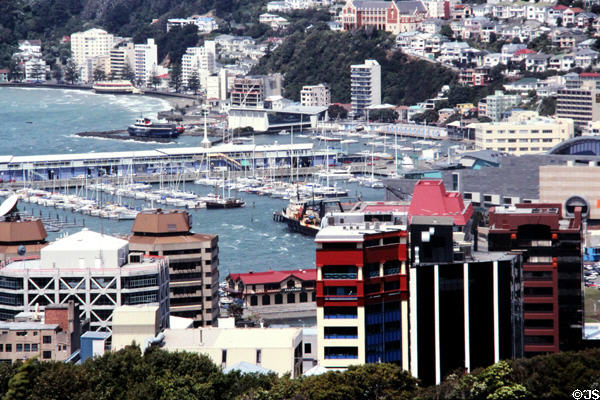 View of Wellington from the cable car station. Wellington, New Zealand.