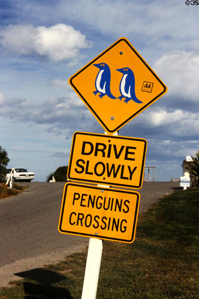 Unique penguin crossing signage in Oamaru. New Zealand.