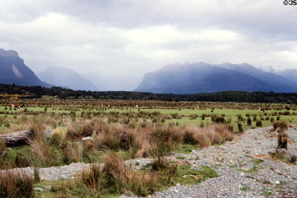 Landscape near Milford Sound. New Zealand.