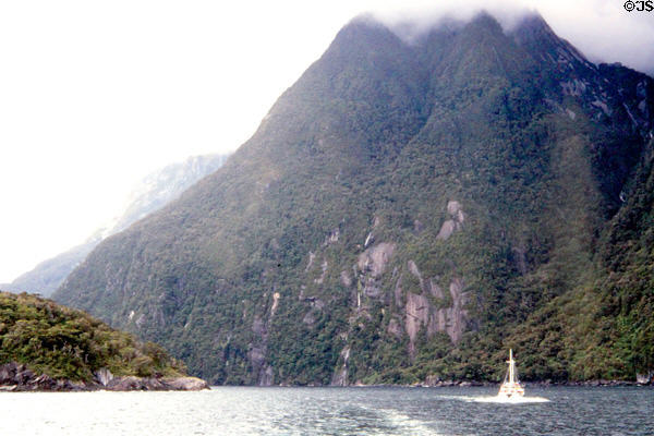 Milford Sound scenery. New Zealand.