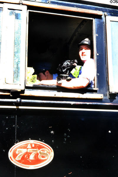 Locomotive driver & his dog on steam train in Kingston. New Zealand.