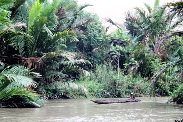 Man paddling a dugout canoe along Barat Canal to Murik Lake. Papua New Guinea.
