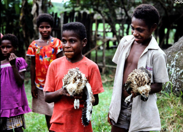 Boys holding captive raptor birds in Timbunke. Papua New Guinea.
